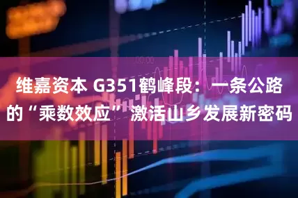 维嘉资本 G351鹤峰段：一条公路的“乘数效应” 激活山乡发展新密码
