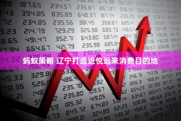 蚂蚁策略 辽宁打造近悦远来消费目的地