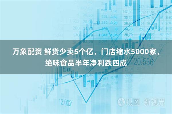 万象配资 鲜货少卖5个亿，门店缩水5000家，绝味食品半年净利跌四成