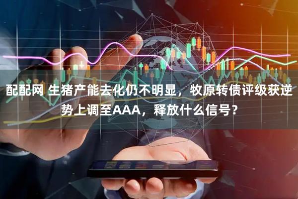 配配网 生猪产能去化仍不明显，牧原转债评级获逆势上调至AAA，释放什么信号？